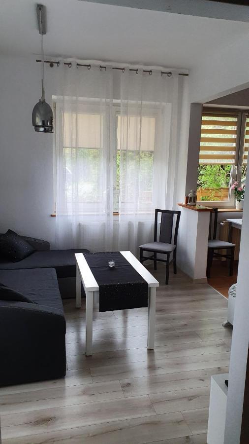 Willa Nad Potokiem Kudowa-Zdrój Exterior foto