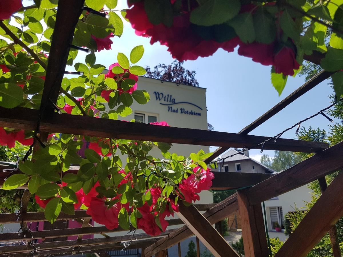 Willa Nad Potokiem Kudowa-Zdrój Exterior foto